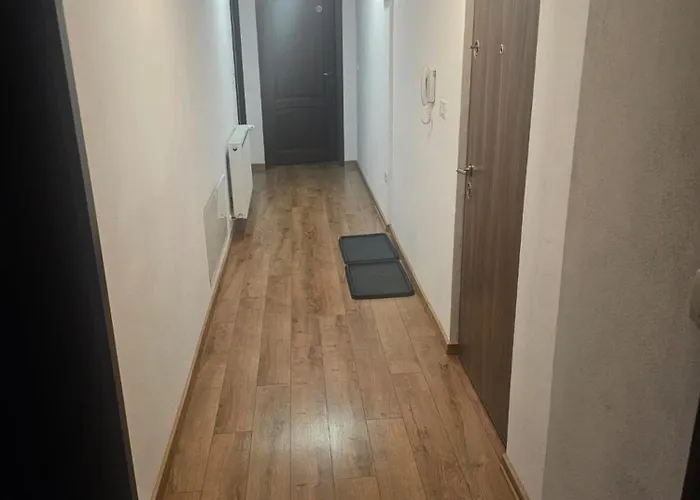 Schoene Vollausgestattete Monteurs- Gaestewohnung In Der Gartenstadt Und Naehe Geiseltalsee Fuer 2 Personen 2408 * Leuna